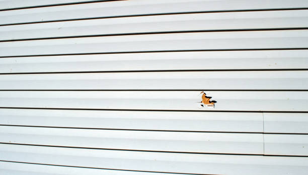 Historical Building Siding Restoration in Salisbury, MD
